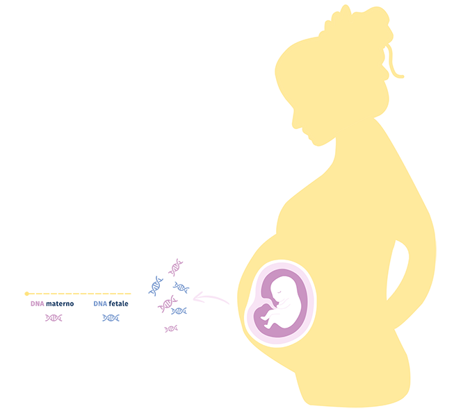 DNA fetale