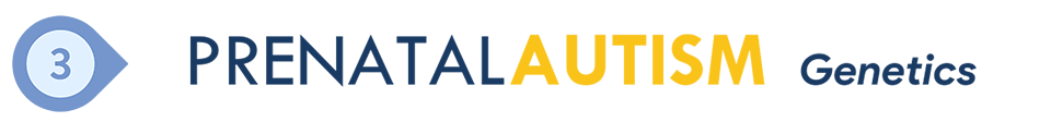 PRENATALAUTISM Genetics