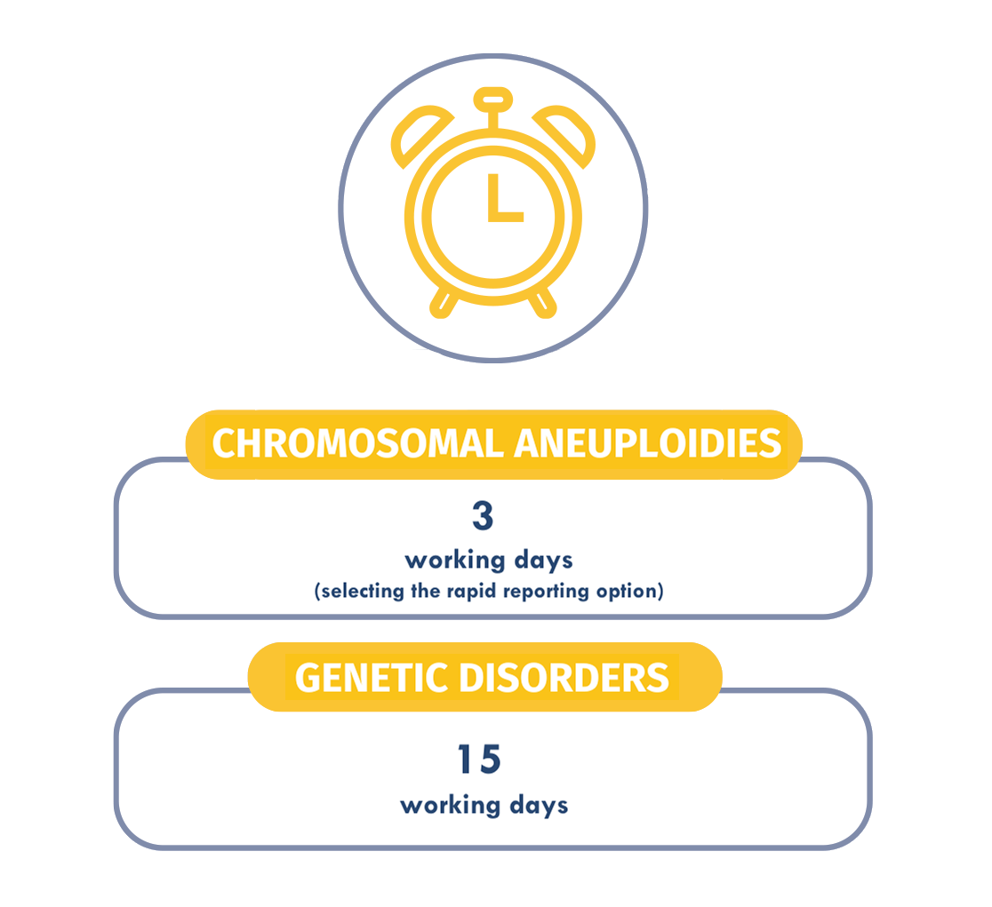 turnaround time prenatalautism